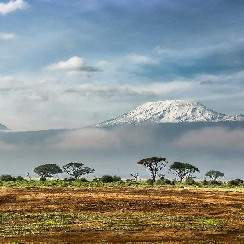 Snow-capped Mount Kilimanjaro rising above the clouds, with acacia trees on the plain below